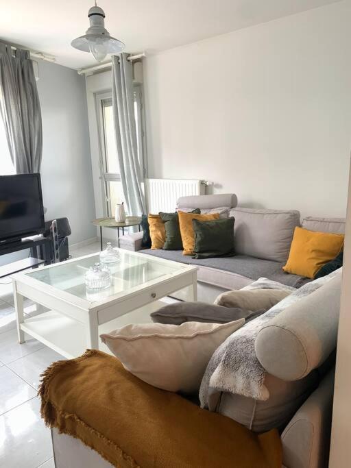 Appartement Moderne Et Spacieux Proche Paris Alfortville Buitenkant foto